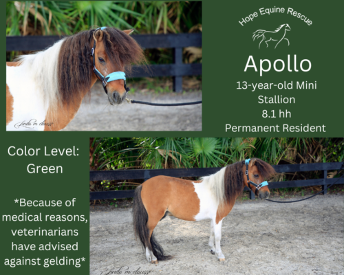 Apollo