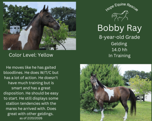 Bobby Ray Bobby Ray