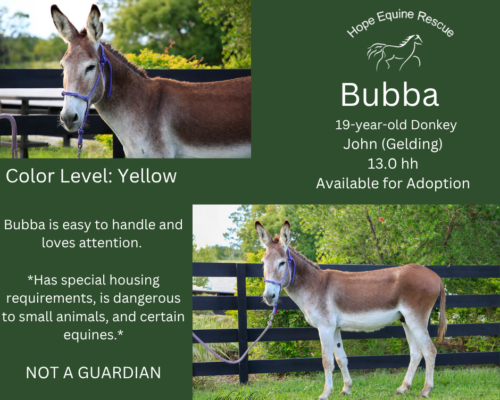 Bubba Bubba
