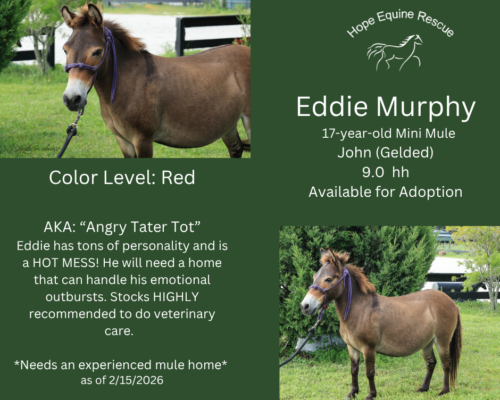 Eddie Murphy Eddie Murphy