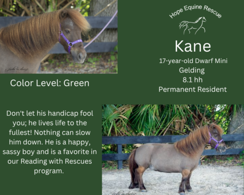 Kane