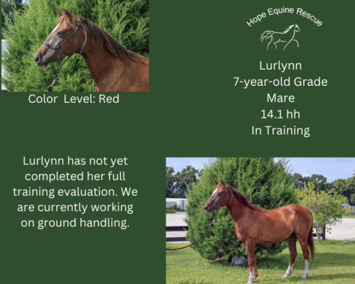 Lurlynn Lurlynn