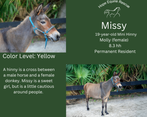 Missy