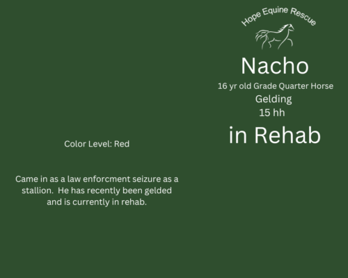 Nacho