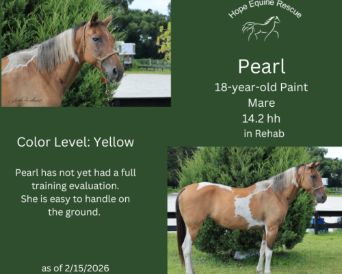 Pearl Pearl