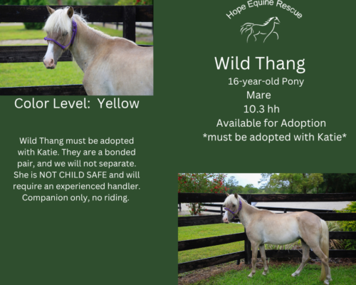 Wild Thang Wild Thang