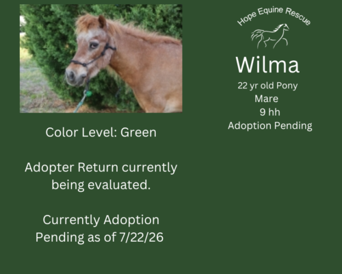 Wilma Wilma