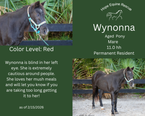 Wynonna