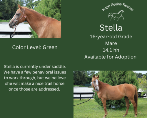 Stella